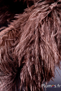 Autruche - 30-40 cm - gris naturel-chocolat